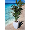 Kunstpalm