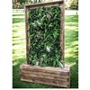 Afscheidingswand planten
