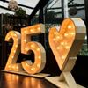 Lichtletters XL 100cm