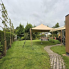 Stretchtent 5x7,5 meter